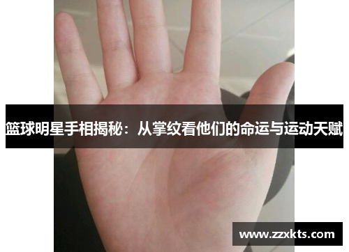 篮球明星手相揭秘：从掌纹看他们的命运与运动天赋
